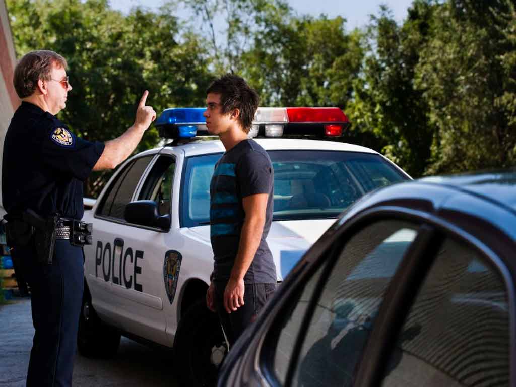 A police officer pointing at a person in front of a police car.