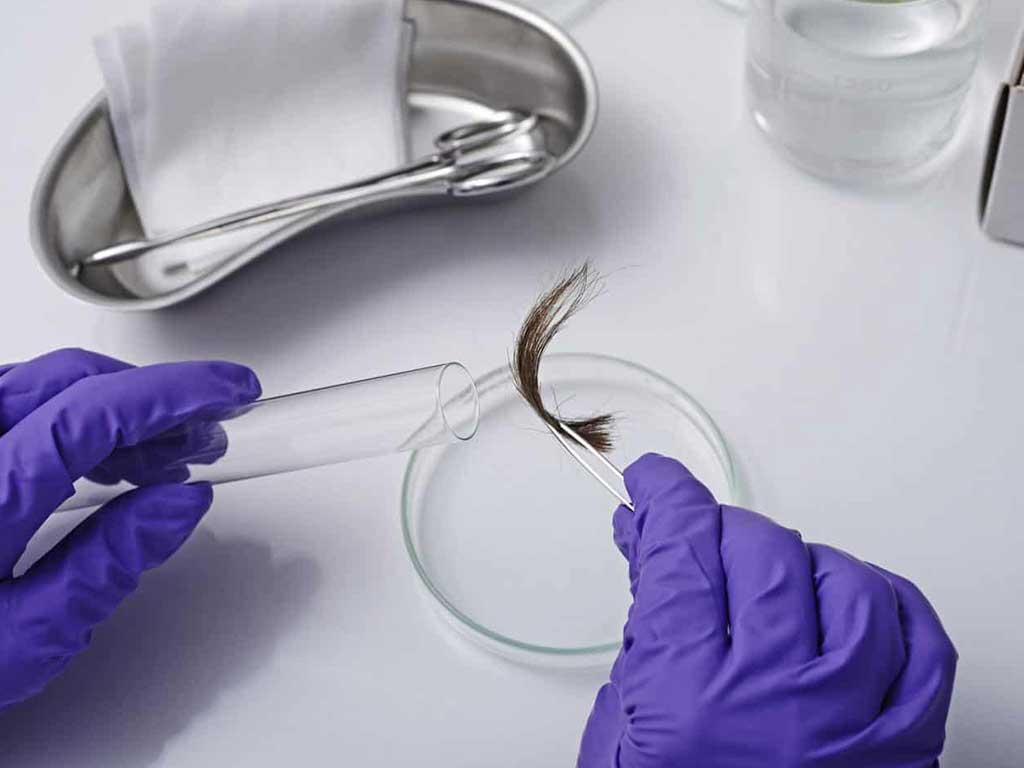 A professional transferring hair samples with tweezers