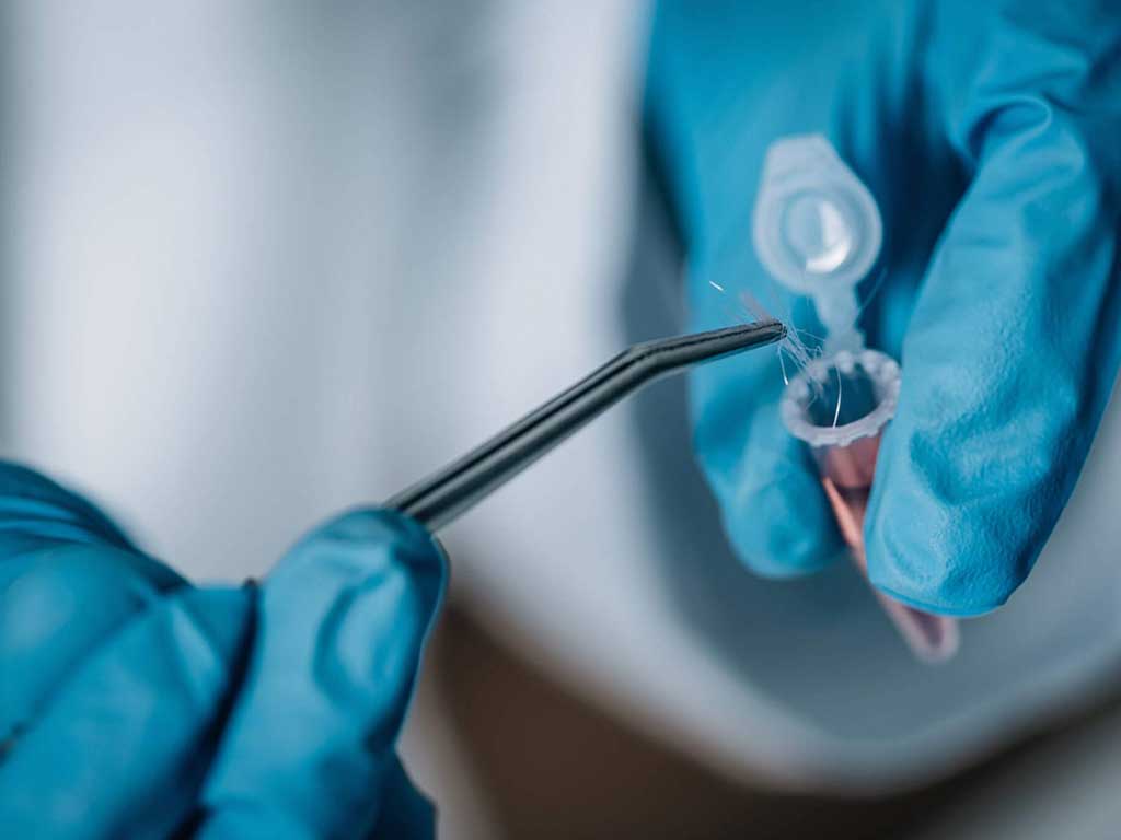 A lab technician putting hair samples into a tube
